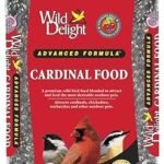 Wild Delight Cardinal Food
