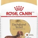 Royal Canin Dachshund Adult Dry Dog Food 10 lb Bag – Breed Health Nutrition