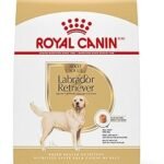 Royal Canin Labrador Retriever Adult Dry Dog Food 30 lb Bag for Large Breed Dogs