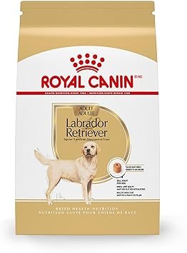 Royal Canin Labrador Retriever Adult Dry Dog Food 30 lb Bag for Large Breed Dogs