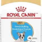 Royal Canin French Bulldog Puppy Dry Dog Food 10.5 lb Bag – Breed Health Nutrition