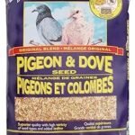 Hagen Pigeon & Dove Seed Original Formula Bird Food 6lb