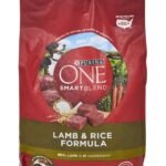 Purina ONE Lamb & Rice Dry Dog Food 4 lb bag