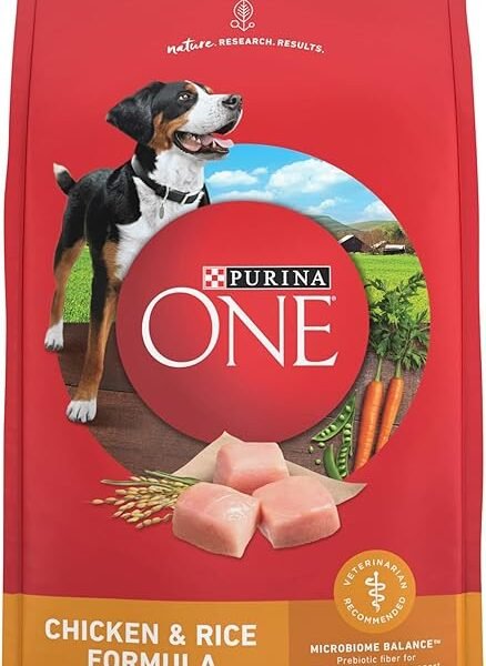 Purina ONE SmartBlend Chicken and Rice Adult Dog Food 8 lb bag