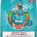 Purina ONE High Protein Dry Cat Food - Urinary Tract Health Formula 16 lb Bag