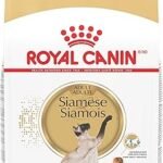 Royal Canin Siamese Adult Dry Cat Food 6 lb Bag