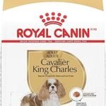 Royal Canin Cavalier King Charles Spaniel Adult Dry Dog Food 10 lb Bag – Breed Health Nutrition