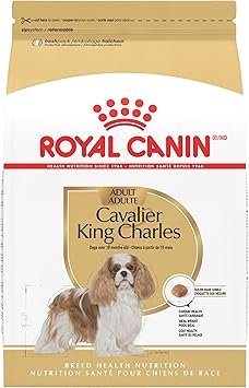 Royal Canin Cavalier King Charles Spaniel Adult Dry Dog Food 10 lb Bag – Breed Health Nutrition