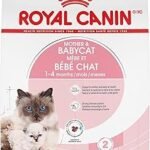 Royal Canin Mother & Babycat Dry Food for Kittens and Pregnant Cats 6 lb