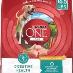Purina ONE Plus Digestive Health Dry Dog Food 16.5 lb