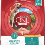 Purina ONE Plus Digestive Health Formula Dry Dog Food Natural Pack of 4 8 lb bags