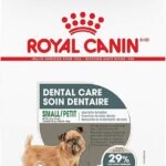 best dog food for dental health