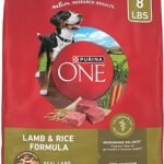 Purina ONE Lamb and Rice Dry Dog Food 8 lb