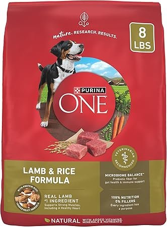 Purina ONE Lamb and Rice Dry Dog Food 8 lb