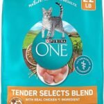 Purina ONE Natural Dry Cat Food Tender Selects Blend with Real Chicken 22 lb Bag