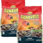 Higgins Sunburst Gourmet Food Mix for Conures