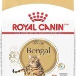 Royal Canin Bengal Adult Dry Cat Food 7 lb Bag