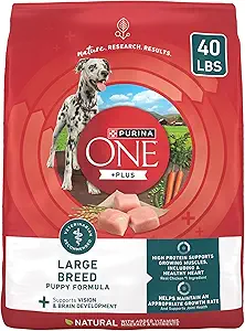 Purina ONE Plus Large Breed Puppy Dry Dog Food 40 lb bag