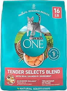 Purina ONE Natural Dry Cat Food - Tender Selects Blend with Real Salmon, 16 lb