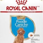 Best Dog Food for Poodle Puppies