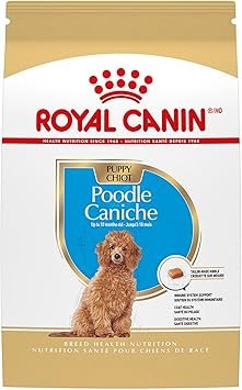 Best Dog Food for Poodle Puppies