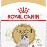 Royal Canin Feline Breed Nutrition Ragdoll Adult Dry Cat Food 7 lb