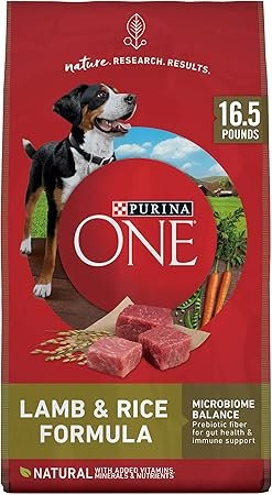 Purina ONE Lamb and Rice Dry Dog Food 16.5 lb