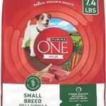 Purina ONE Plus Small Breed Lamb and Rice Dry Dog Food 7.4 lb