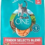 Purina ONE Natural Dry Cat Food Tender Selects Blend with Real Salmon 7 lb Bag