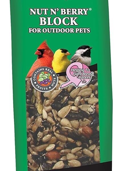 Wild Delight Nut N' Berry Block 13 oz – Nutritious Block for Wild Birds