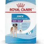Best Dog Food for Giant Breed Puppies