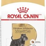 Royal Canin Miniature Schnauzer Adult Dry Dog Food 10 lb Bag – Breed Health Nutrition