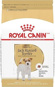 Royal Canin Jack Russell Terrier Adult Dry Dog Food 10 lb Bag for Small Breed Dogs