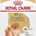 Royal Canin Pomeranian Adult Dry Dog Food 10 lb Bag – Breed Health Nutrition