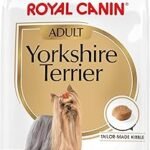 Royal Canin Yorkshire Terrier Adult Dry Dog Food 10 lb Bag – Breed Health Nutrition