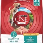 Purina ONE Plus Digestive Health Dry Dog Food 31.1 lb