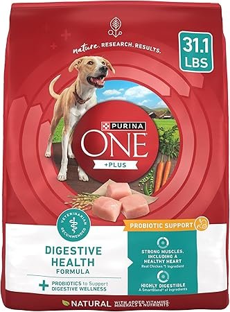 Purina ONE Plus Digestive Health Dry Dog Food 31.1 lb