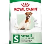 Best Dog Food for Small Senior Dogs