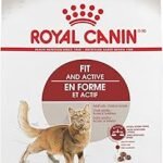Royal Canin Adult Fit & Active Dry Cat Food 3 lb Bag