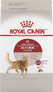 Royal Canin Adult Fit & Active Dry Cat Food 3 lb Bag