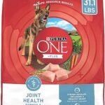 Purina ONE Plus Joint Health Dry Dog Food 31.1 lb