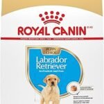 Royal Canin Labrador Retriever Puppy Food