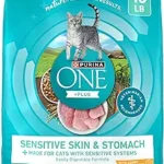 Purina ONE Sensitive Stomach Sensitive Skin Natural Dry Cat Food +PLUS Sensitive Skin and Stomach Formula 16 lb Bag