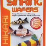 Hikari Tropical Sinking Wafers for Catfish Loaches Bottom Feeders 3.88 oz