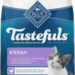 Blue Buffalo Tastefuls Kitten Dry Cat Food with DHA - Natural Chicken Recipe, 3 lb