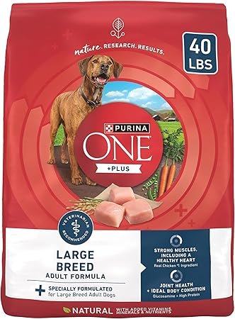 Purina ONE Plus Large Breed Adult Dry Dog Food 40 lb bag