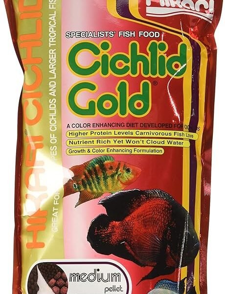 HIKARI 3 Pack 8.8-Ounce Cichlid Gold Floating Pellets for Pets Medium