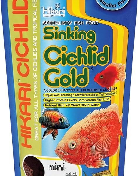 Hikari 12-Ounce Sinking Cichlid Gold Pellets Mini