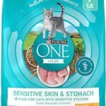 Purina ONE Sensitive Skin & Stomach Natural Dry Cat Food - +PLUS Formula, 7 lb
