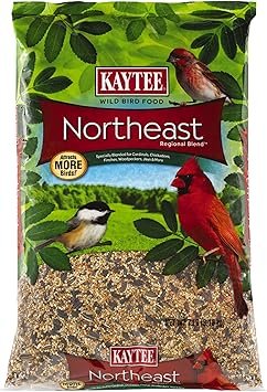 Kaytee Northeast Regional Wild Bird Blend 7 lb Bag – Premium Wild Bird Food